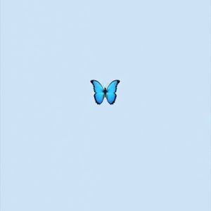 Meet your Posher, Kendall